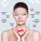 Fibroplasma